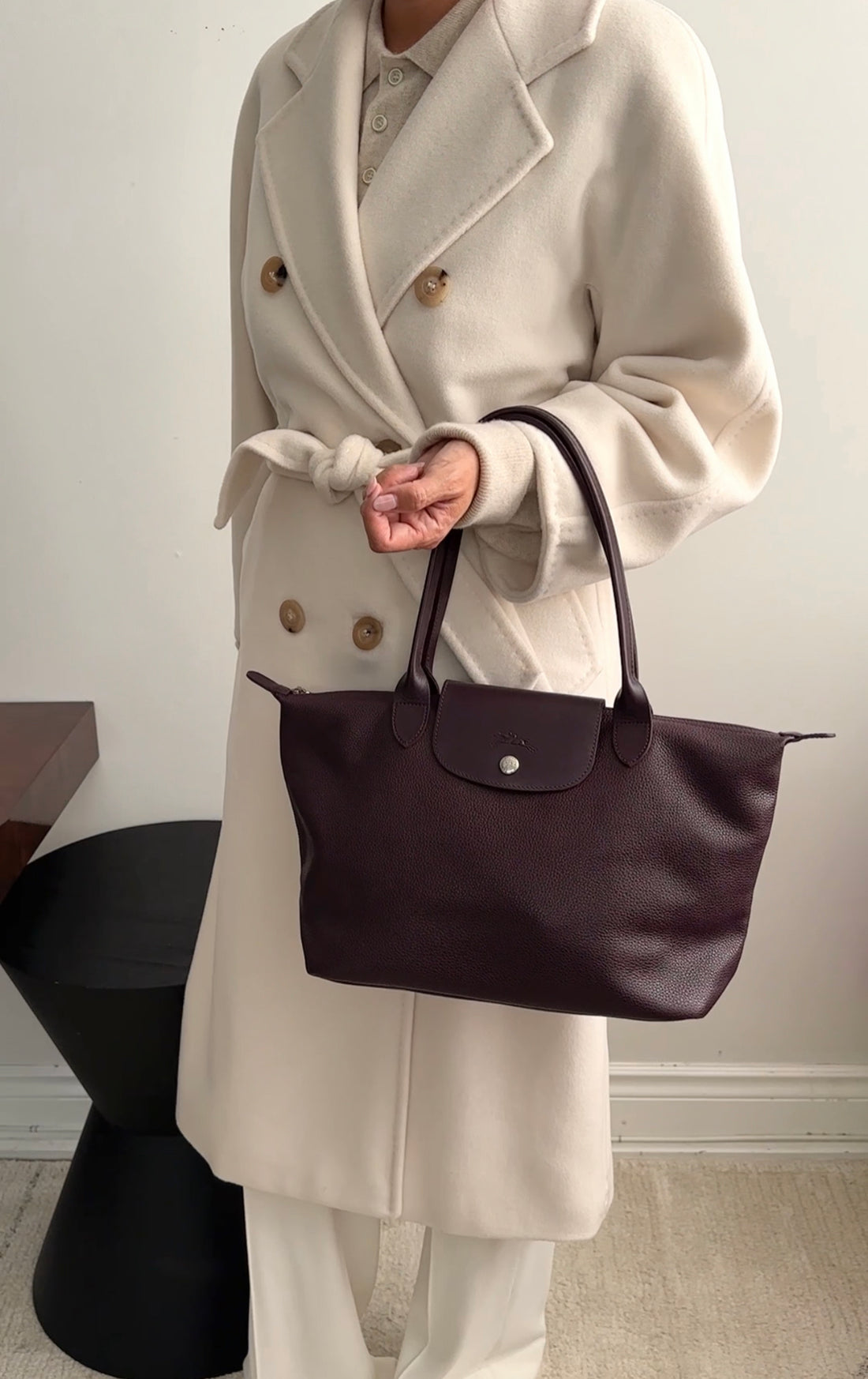 Longchamp Le Pliage Leather Dark Purple Bag