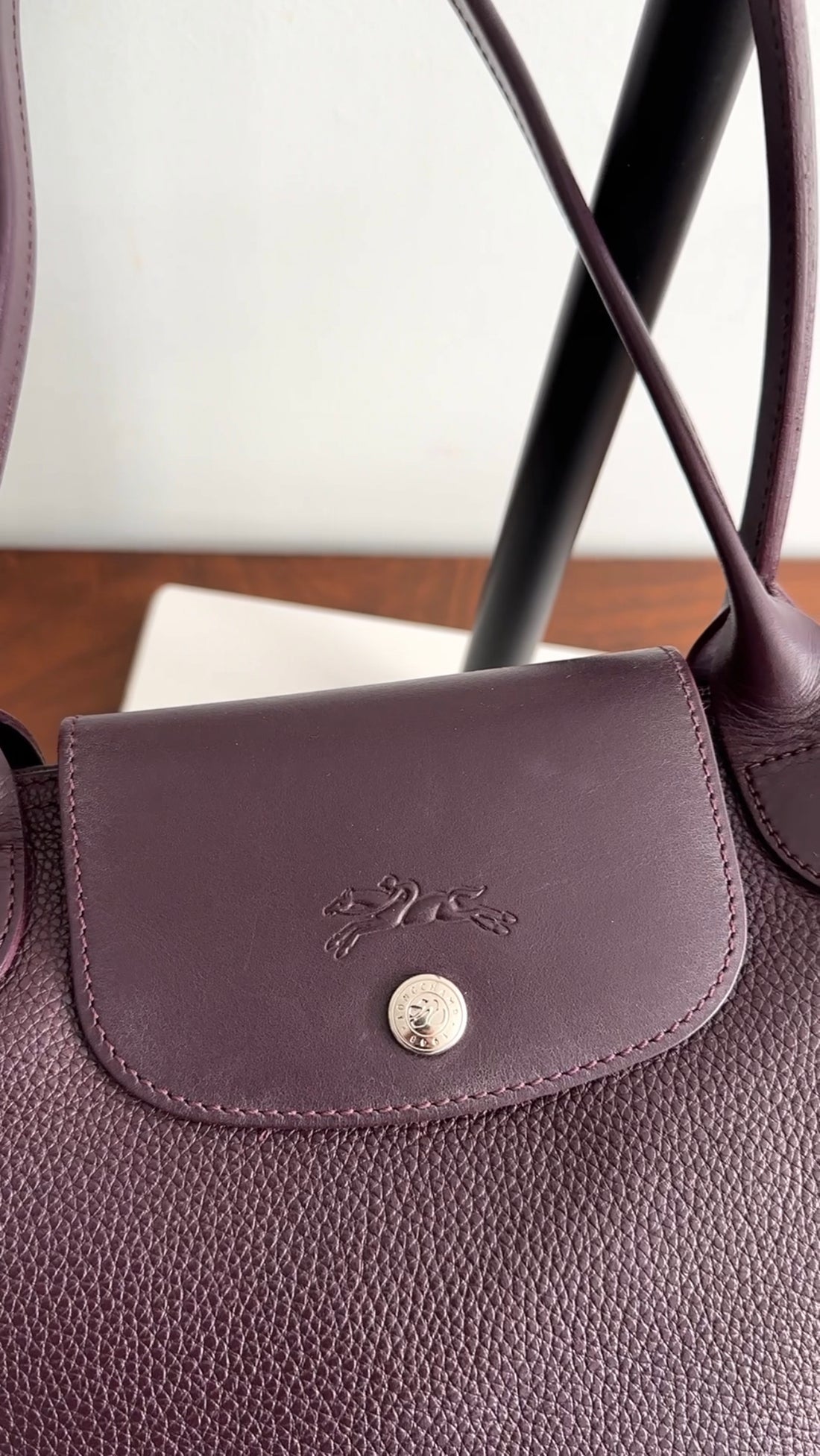 Longchamp Le Pliage Leather Dark Purple Bag