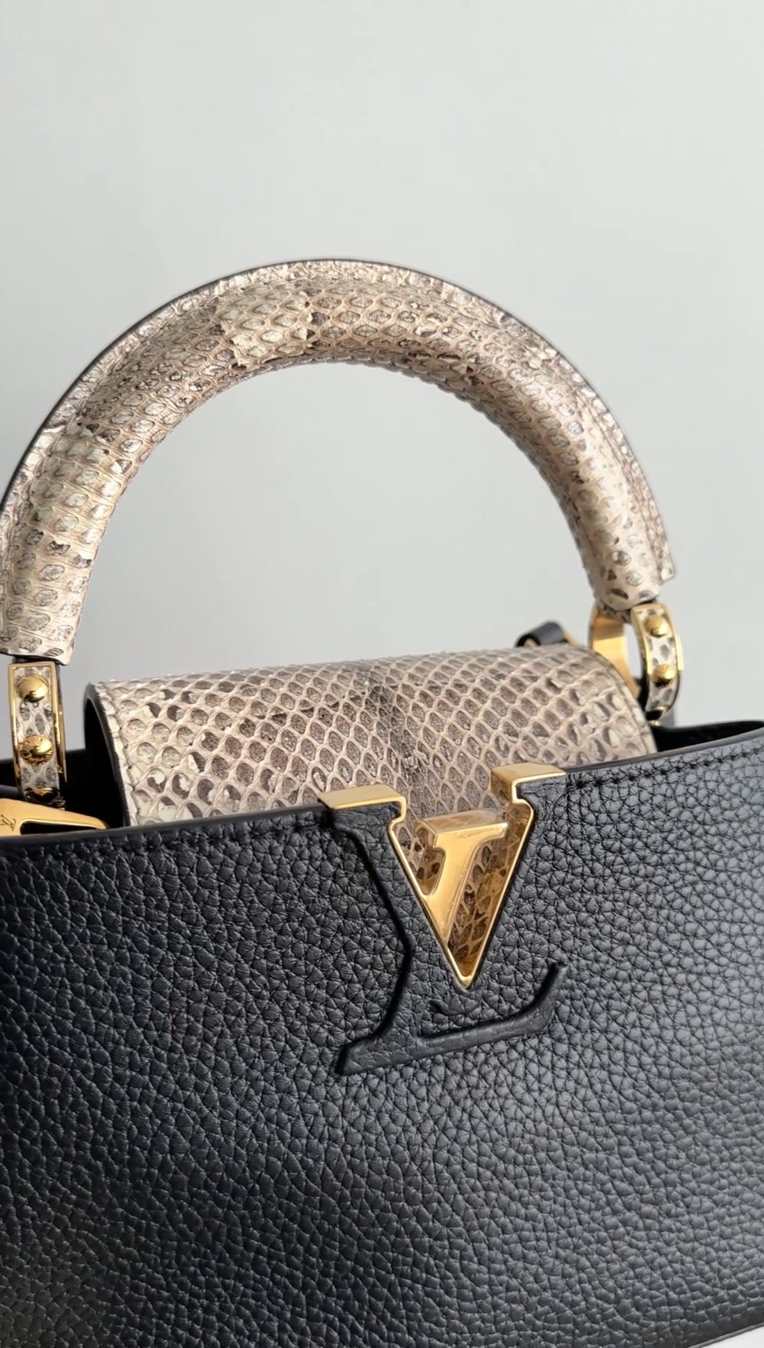 Louis Vuitton Capucines Mini Python and Black Leather Bag