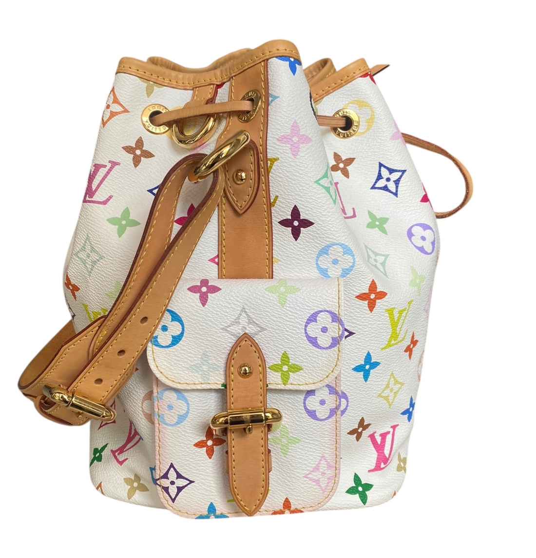 Louis Vuitton Multicolore Monogram Noe Petit Bag