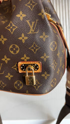 Louis Vuitton Monogram Eden Neo Two Way Bucket Bag