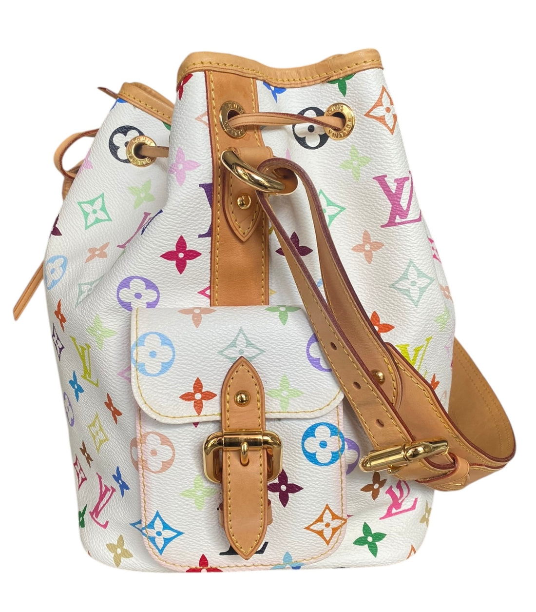 Louis Vuitton Multicolore Monogram Noe Petit Bag