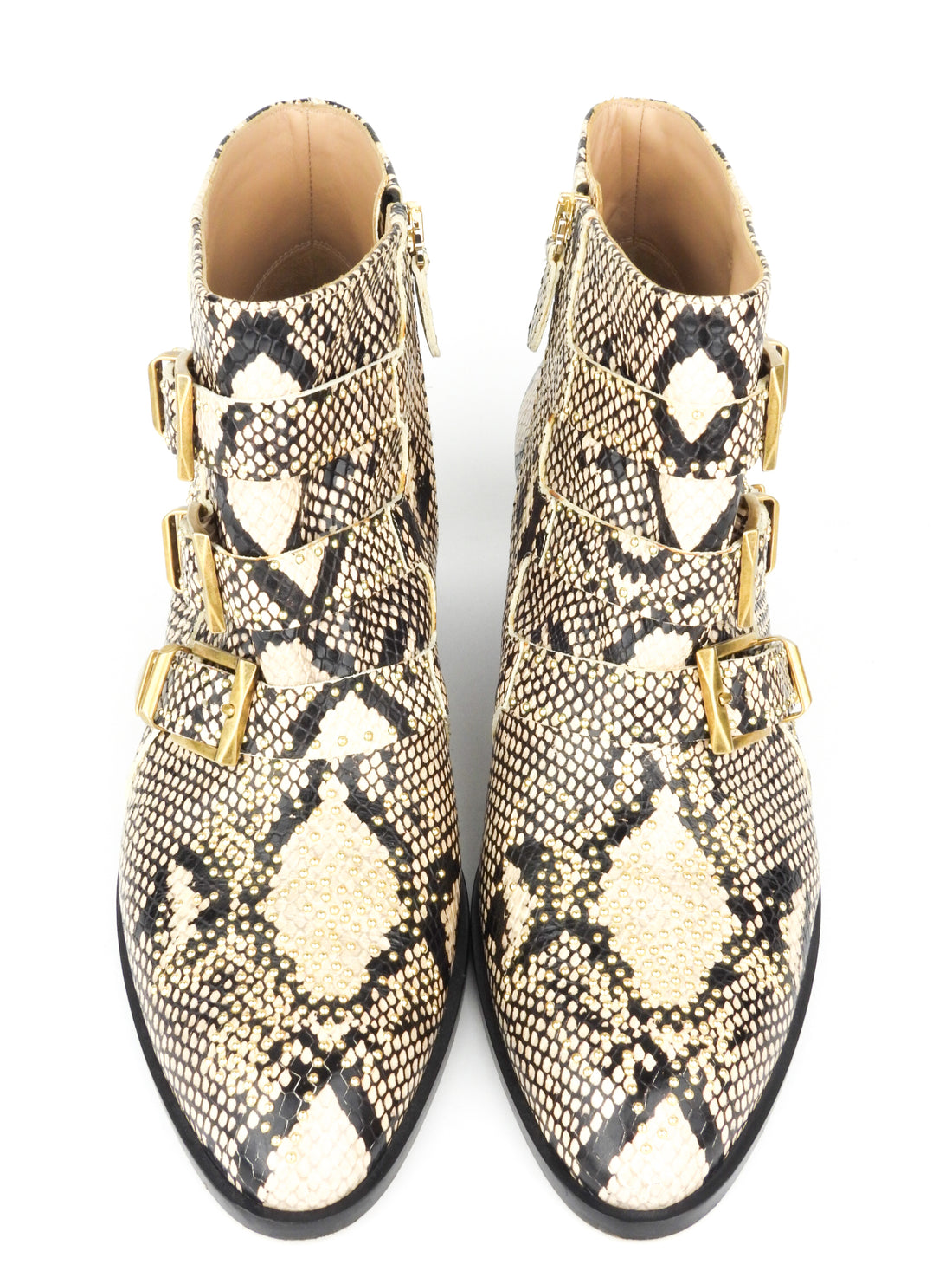 Chloe susanna outlet python