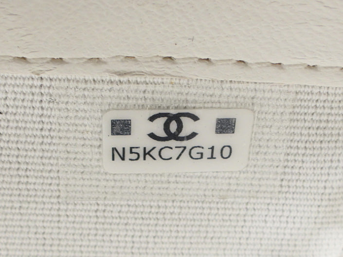 Chanel 2025 White Mesh Shiny Lambskin Chain Hobo Bag