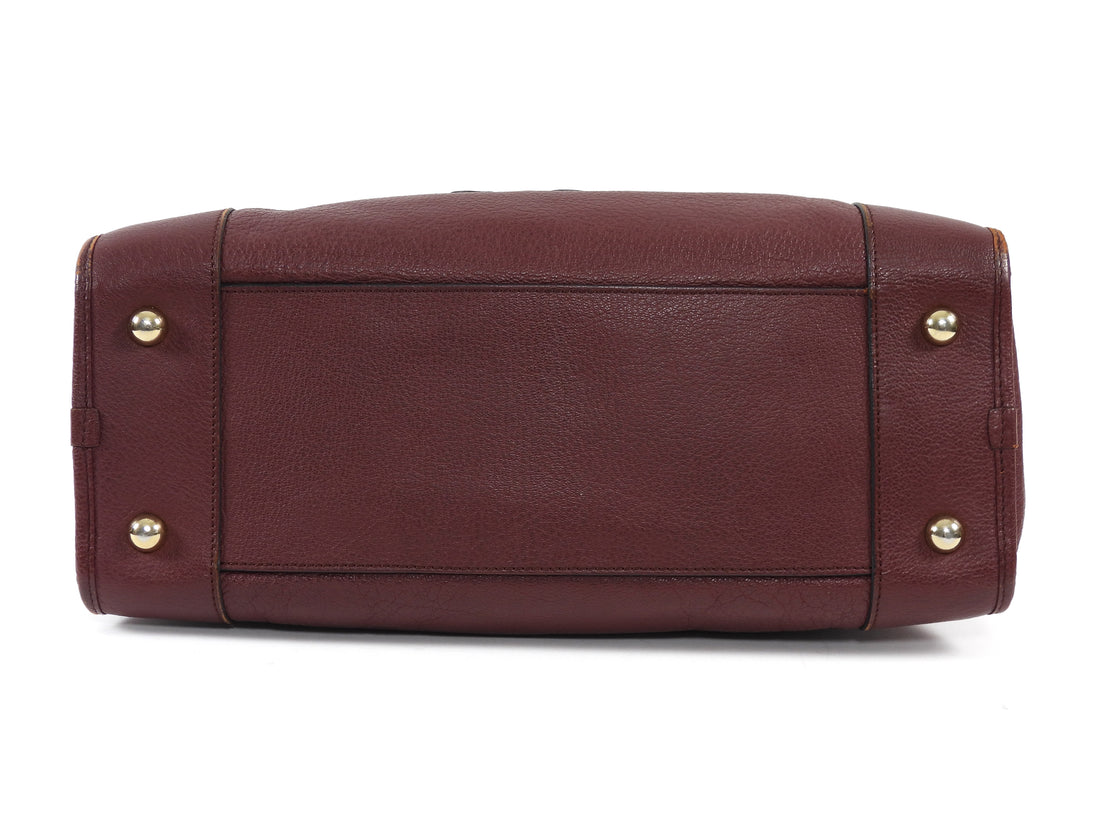 Loewe Burgundy Amazona 36 Grained Leather Anagram Logo Bag