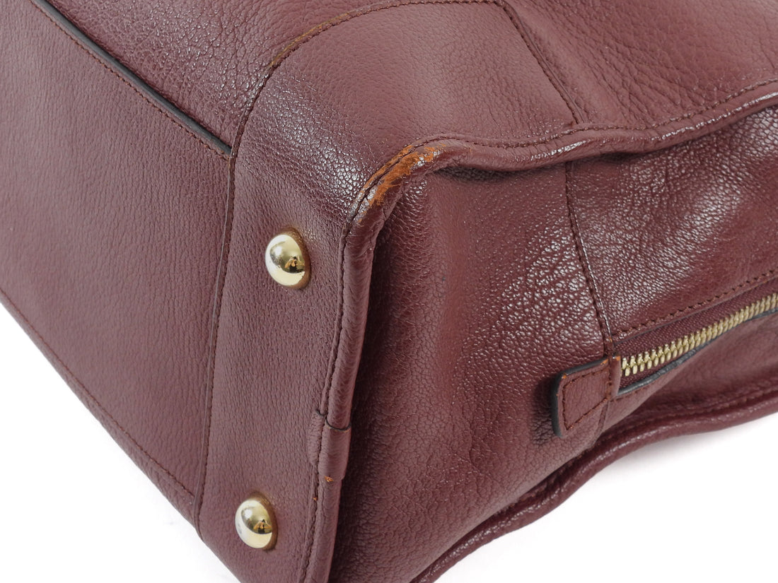 Loewe Burgundy Amazona 36 Grained Leather Anagram Logo Bag