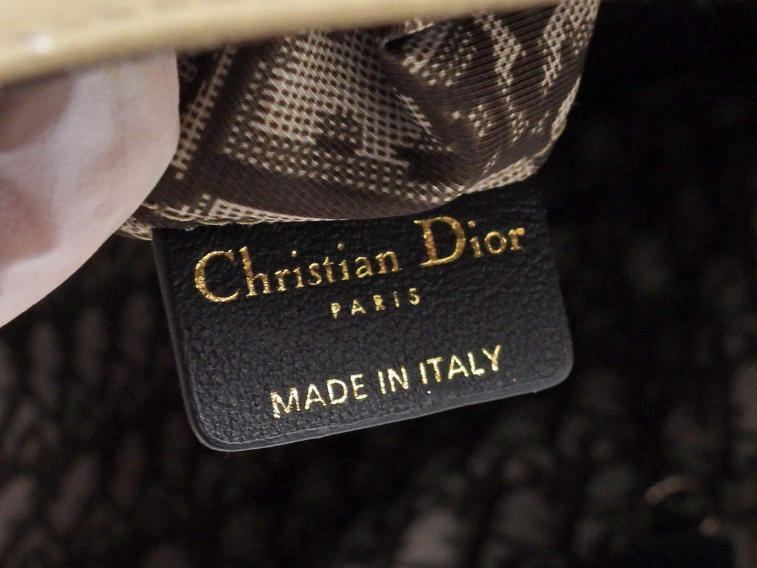 Dior Taupe Black Large Toujours Oblique Nylon Eiffel Tower Large Tote Bag