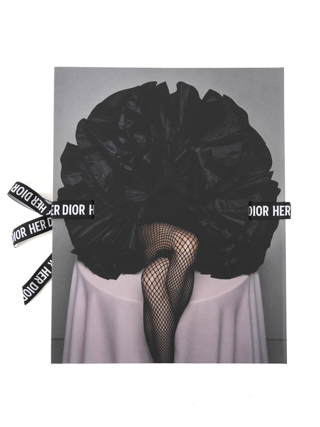 Dior  Her Dior Maria Grazia Chiuris New Voice Hard Cover Book