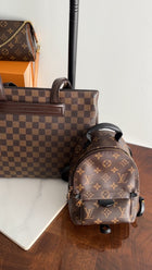 Louis Vuitton Monogram Canvas Palm Springs Mini Backpack