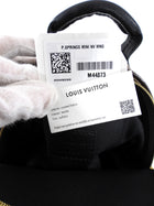 Louis Vuitton Monogram Canvas Palm Springs Mini Backpack