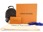 Louis Vuitton Monogram Canvas Palm Springs Mini Backpack