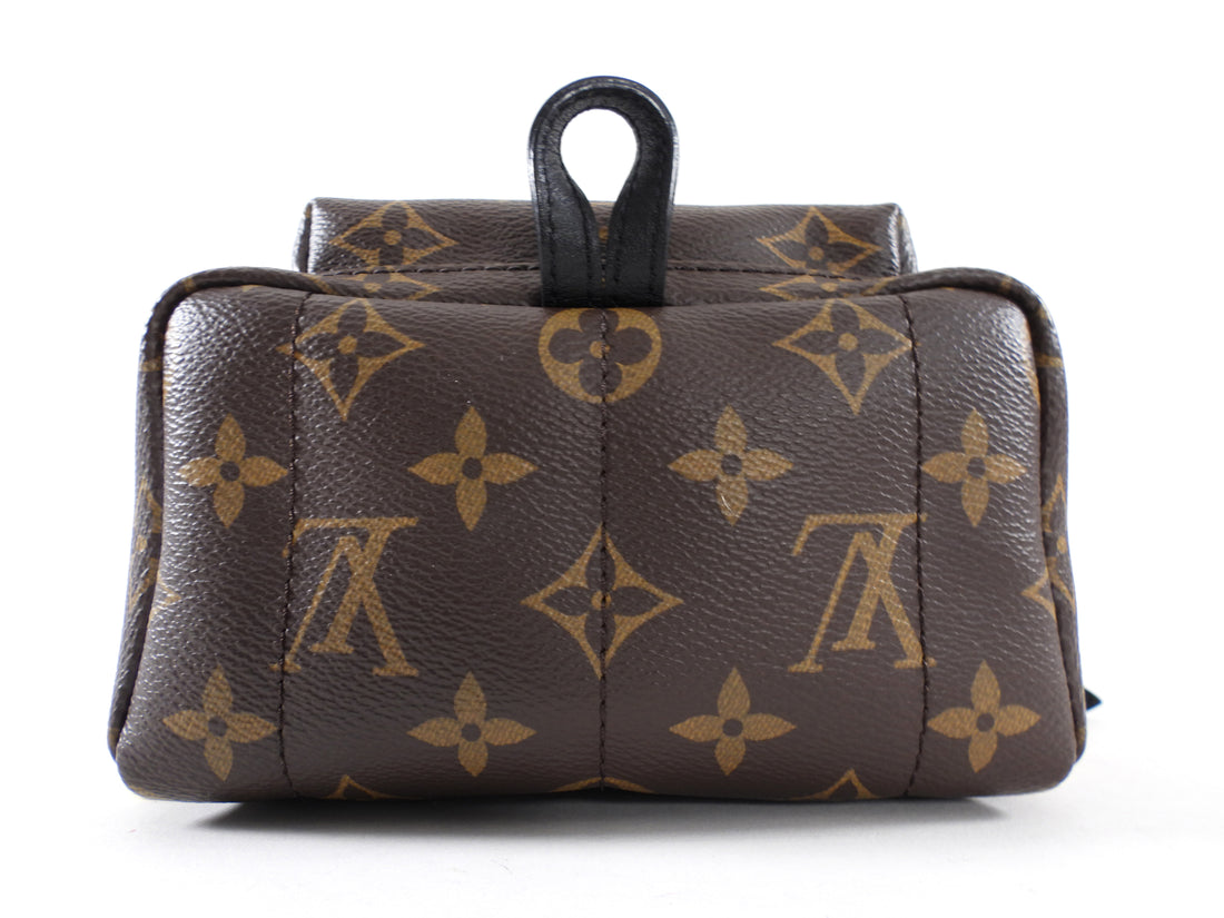 Louis Vuitton Monogram Canvas Palm Springs Mini Backpack