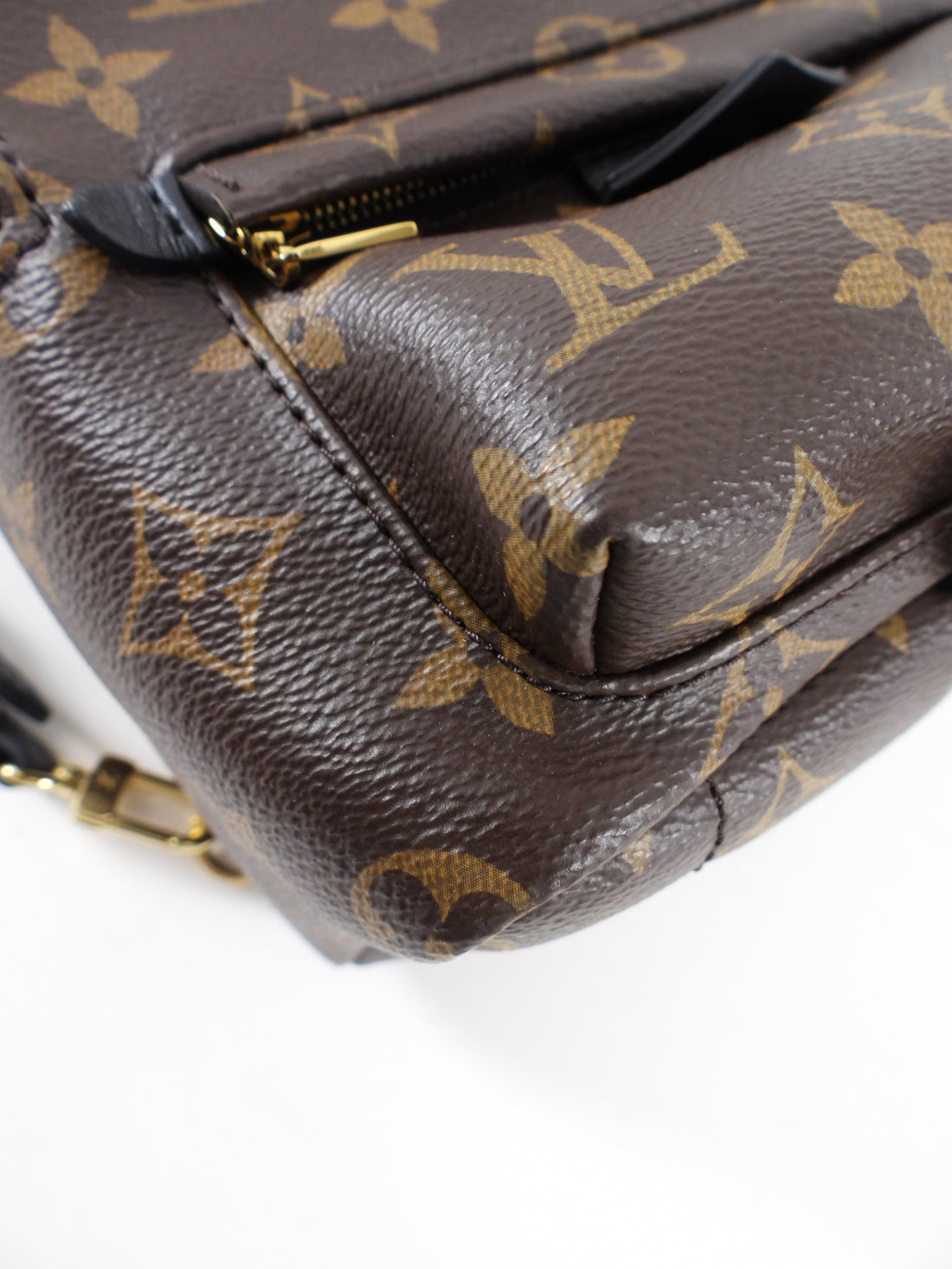 Louis Vuitton Monogram Canvas Palm Springs Mini Backpack