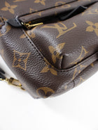 Louis Vuitton Monogram Canvas Palm Springs Mini Backpack