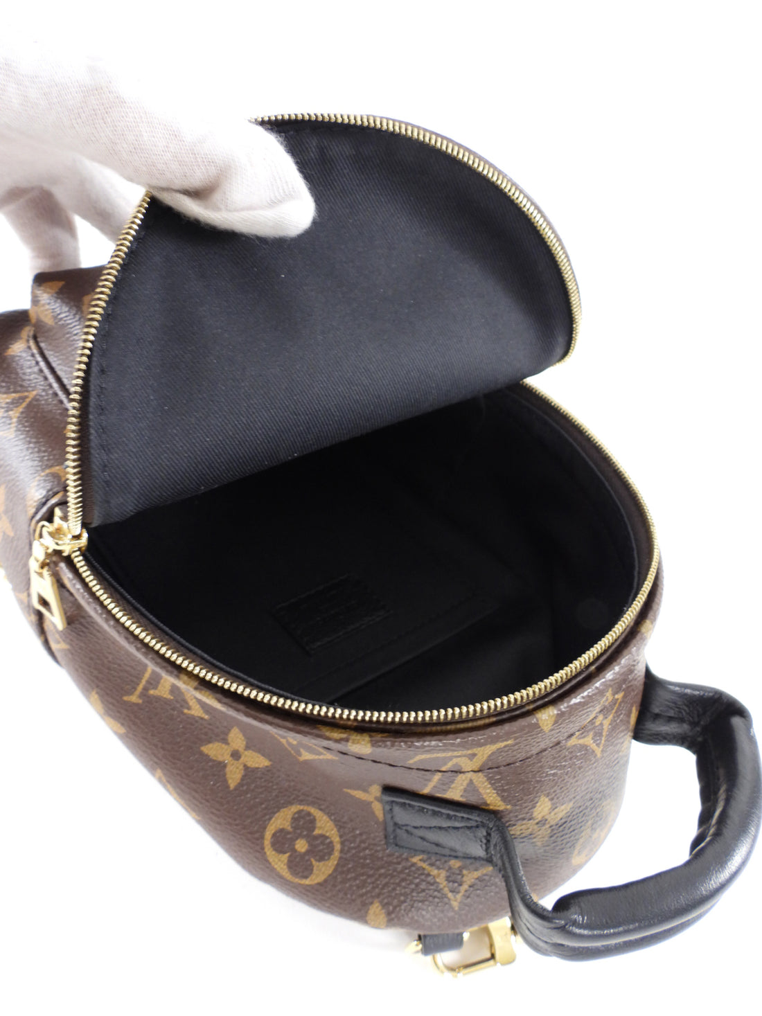 Louis Vuitton Monogram Canvas Palm Springs Mini Backpack