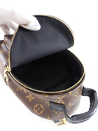 Louis Vuitton Monogram Canvas Palm Springs Mini Backpack
