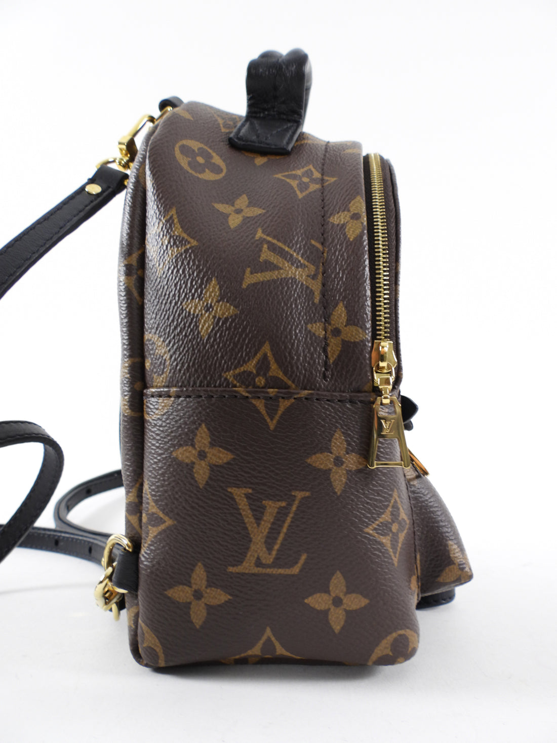 Louis Vuitton Monogram Canvas Palm Springs Mini Backpack