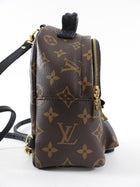 Louis Vuitton Monogram Canvas Palm Springs Mini Backpack