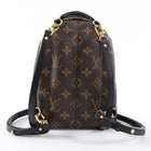 Louis Vuitton Monogram Canvas Palm Springs Mini Backpack