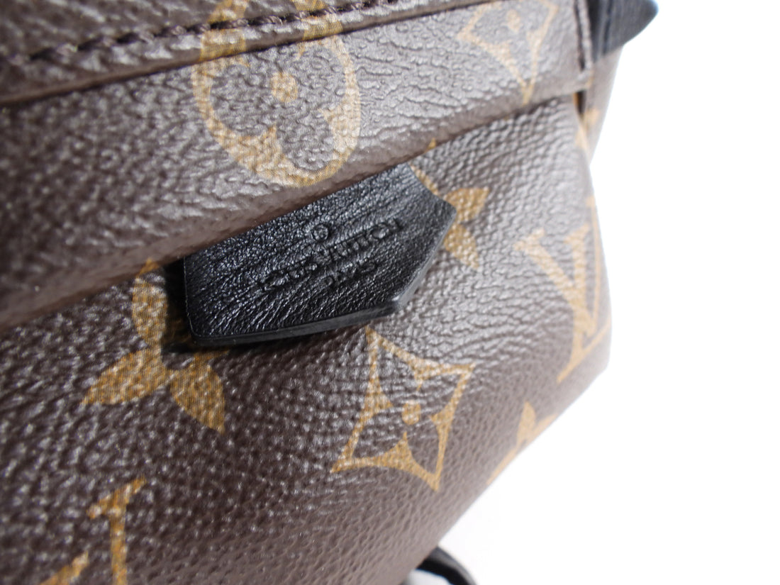Louis Vuitton Monogram Canvas Palm Springs Mini Backpack