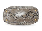 Prada Grey Brown Pitone Lucido Python Leather Ball Clasp Frame Bag