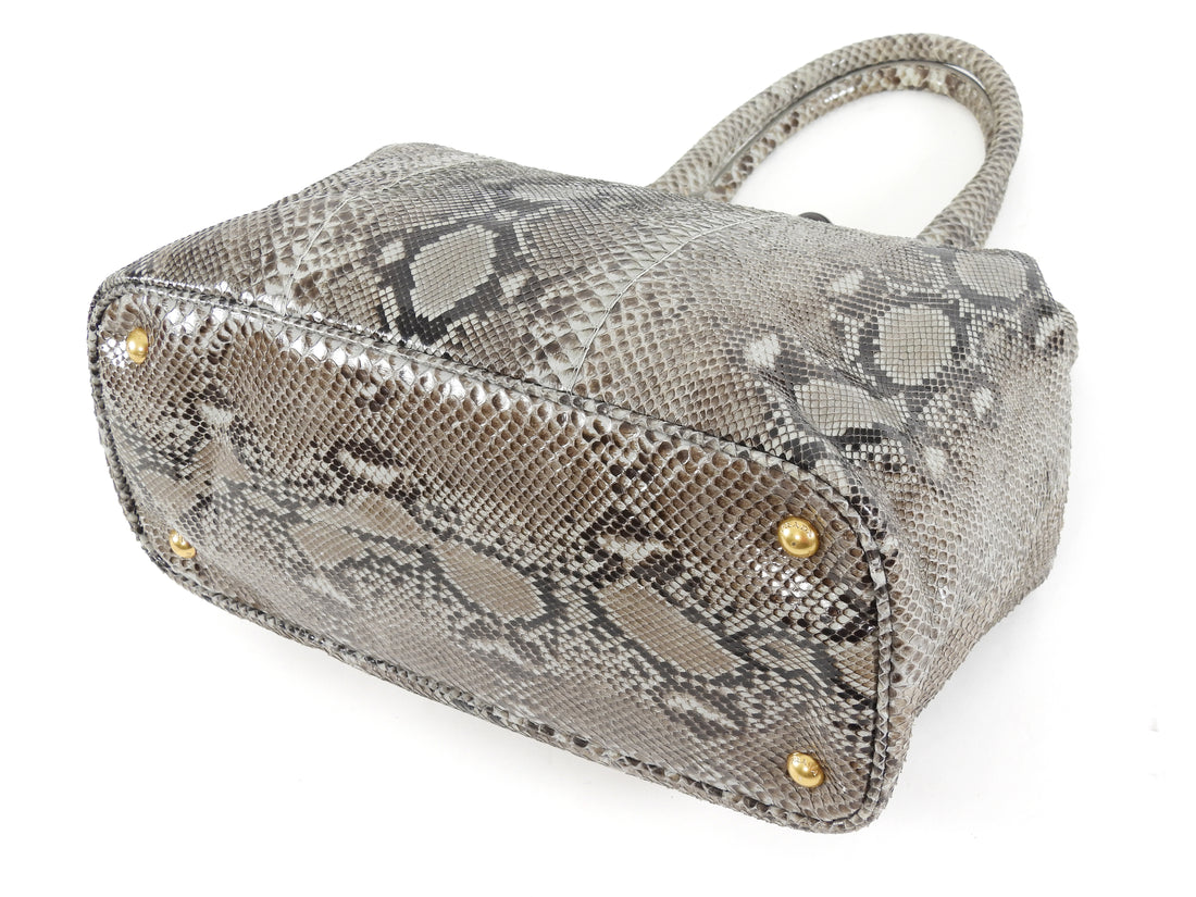 Prada Grey Brown Pitone Lucido Python Leather Ball Clasp Frame Bag