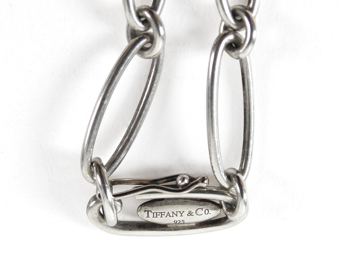 Tiffany & Co. Silver x Elsa Peretti Sterling Silver Round Pendant Necklace