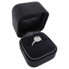 Tiffany & Co. Platinum Cushion Cut Brilliant Soleste Double Halo Engagement Ring - 4.75 / 15.5