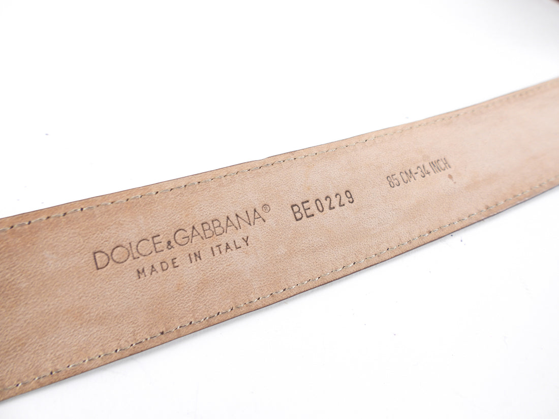 Dolce & Gabbana Brown Glossy Eelskin Belt - 85 / 34