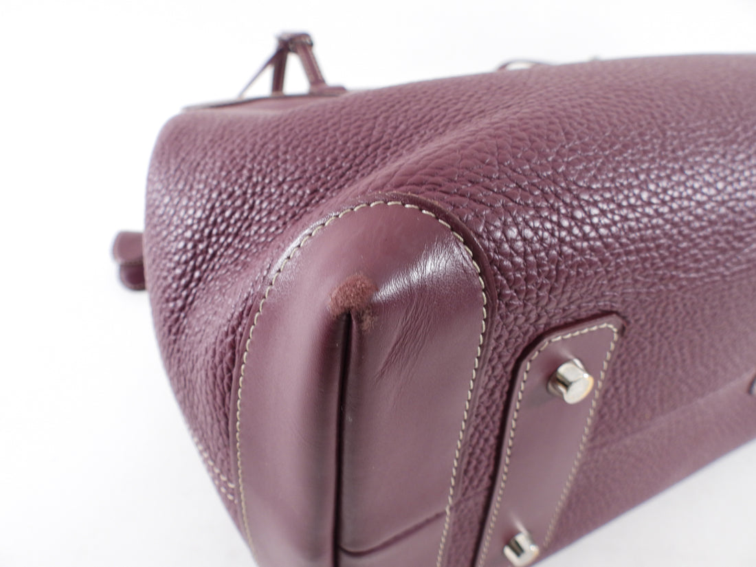 Goyard Plum Leather Goyardine Logo Bellechasse Biaude Shoulder Bag