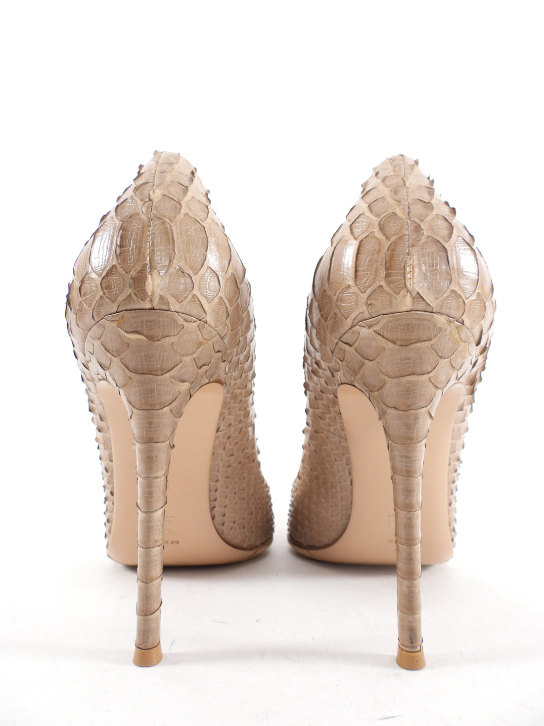 Gianvito Rossi Beige Python 110mm Pumps - 41