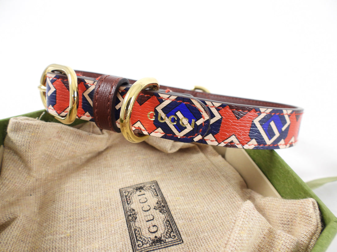 Gucci Isometric G Red and Blue 5pc Gucci Pet Dog Gift Set