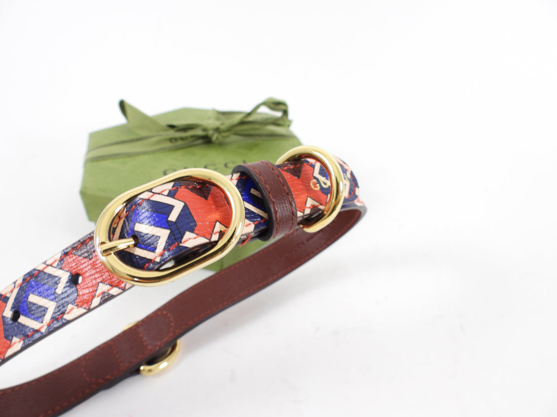Gucci Isometric G Red and Blue 5pc Gucci Pet Dog Gift Set