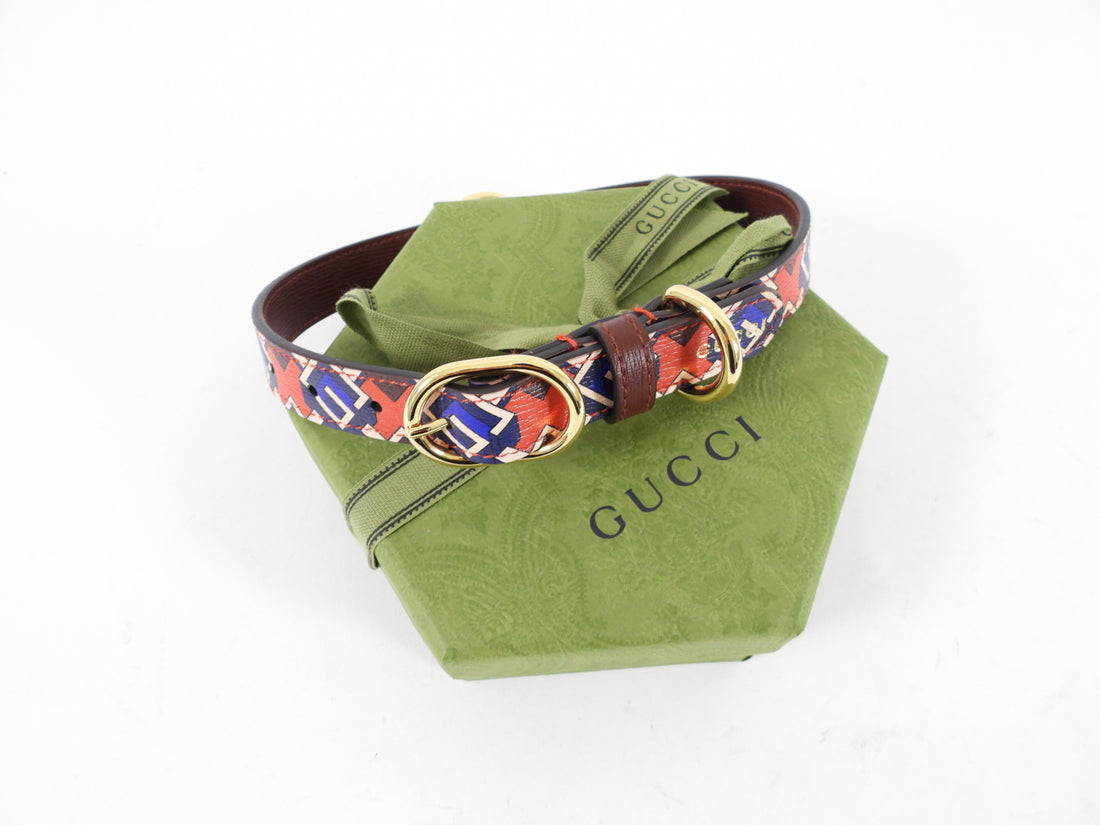 Gucci Isometric G Red and Blue 5pc Gucci Pet Dog Gift Set