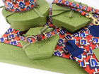 Gucci Isometric G Red and Blue 5pc Gucci Pet Dog Gift Set