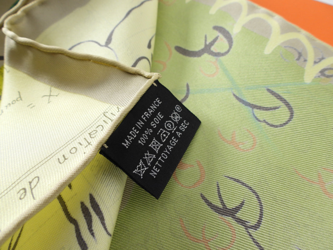 Hermes La Maison Des Oiseaux Parleurs Taupe Green Floral 90cm Silk Scarf