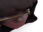 Louis Vuitton Bordeaux Taiga Leather Cassiar Backpack Bag