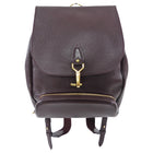 Louis Vuitton Bordeaux Taiga Leather Cassiar Backpack Bag