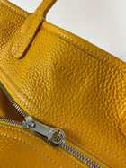Goyard Orange Sac Hardy Pet Carrier PM Leather Cloth Pony-style calfskin  Cloth ref.207942 - Joli Closet