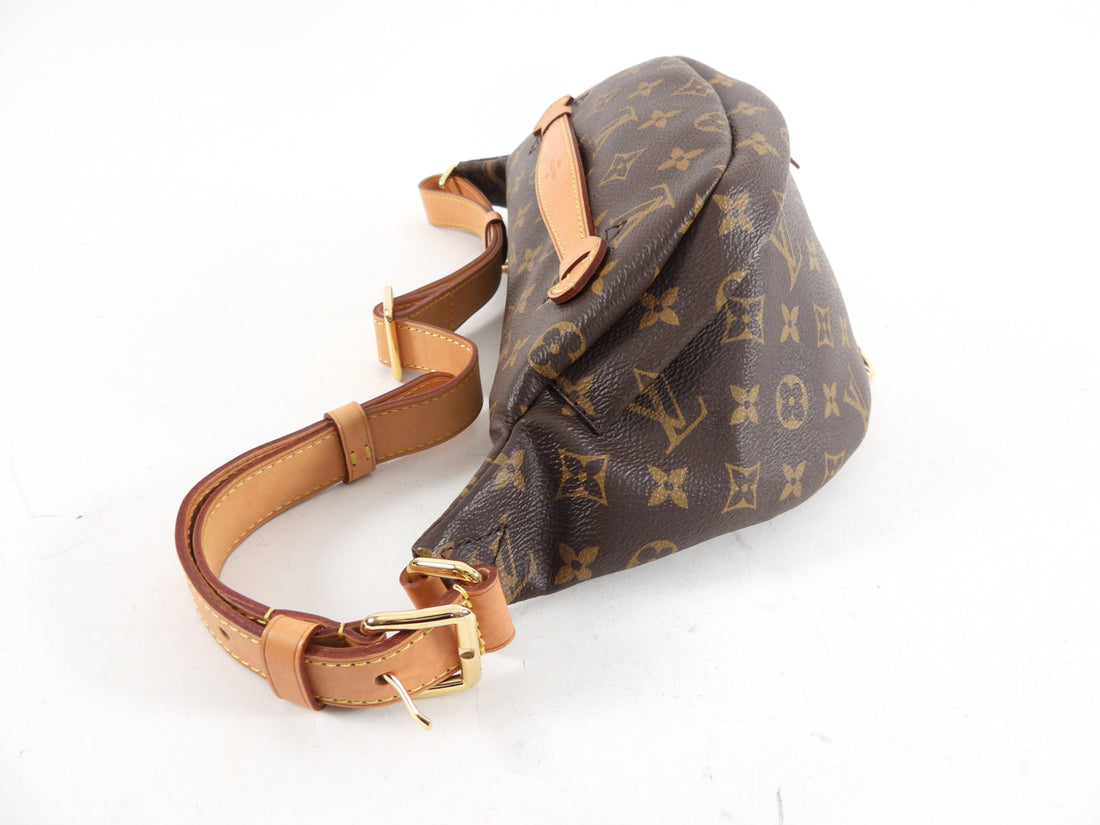 Louis Vuitton Monogram Canvas Bumbag MM Belt Bag at 1stDibs  bumbag louis  vuitton, louis vuitton belt bag, lv belt bag price