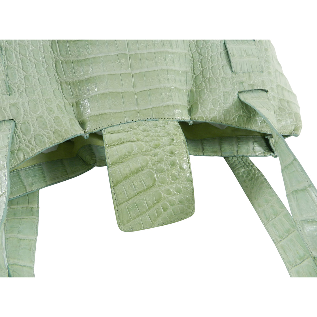 Nancy Gonzalez Mint Green Crocodile Shoulder Bag